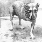 Alice In Chains []